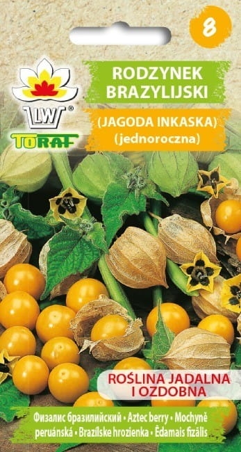 Rodzynek Brazylijski Jagoda Inkaska nasiona 0
