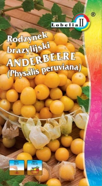Rodzynek brazylijski Andenbeere 0
