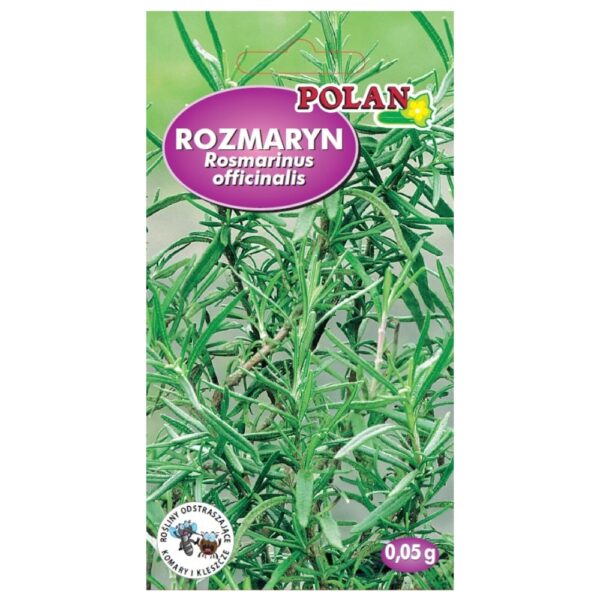 Rozmaryn lekarski nasiona 0