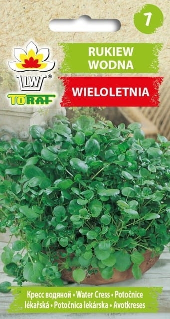 Rukiew wodna nasiona 0
