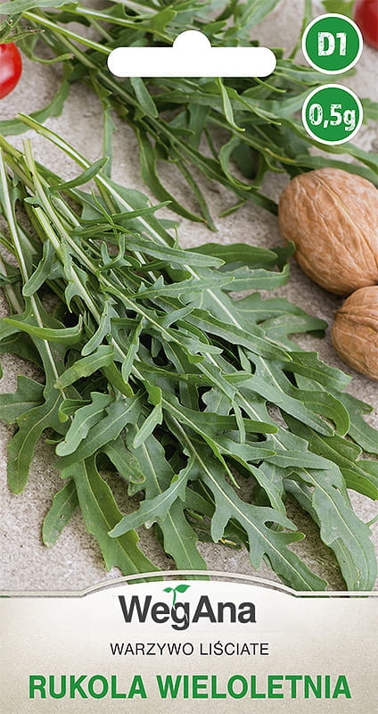 Rukola Diplotaxis erucoides - wieloletnia 0