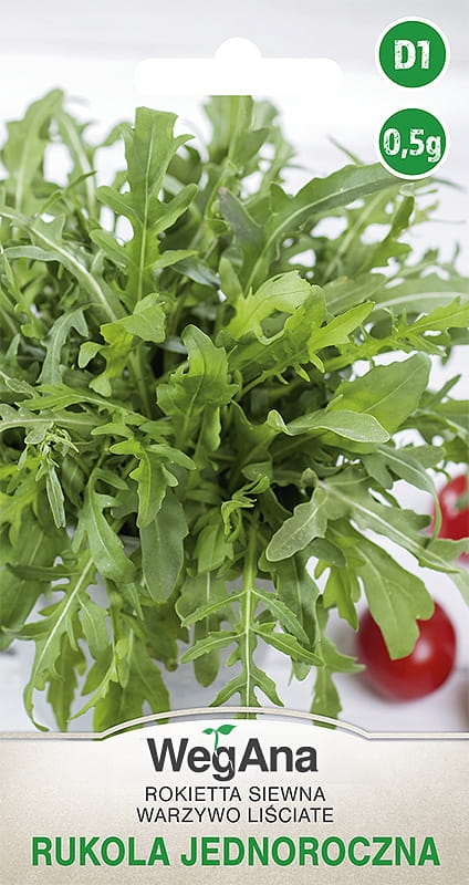 Rukola jednoroczna Eruca sativa 0