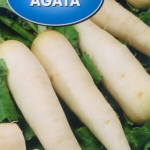 Rzodkiew Agata nasiona 10g - POLAN