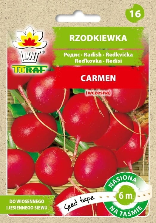 Rzodkiewka Carmen nasiona na taśmie 6m - TORAF