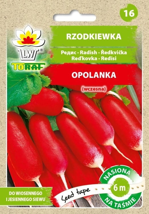 Rzodkiewka Opolanka nasiona na taśmie 6m - TORAF