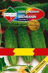 SPÓJNIA Ogórek Gruntowy Śremianin F1 50g