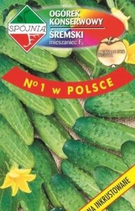 SPÓJNIA Ogórek gruntowy Śremski NOWY F1 5g