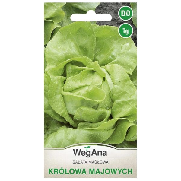 Sałata Kr&oacute;lowa Majowych nasiona 1g - WegAna