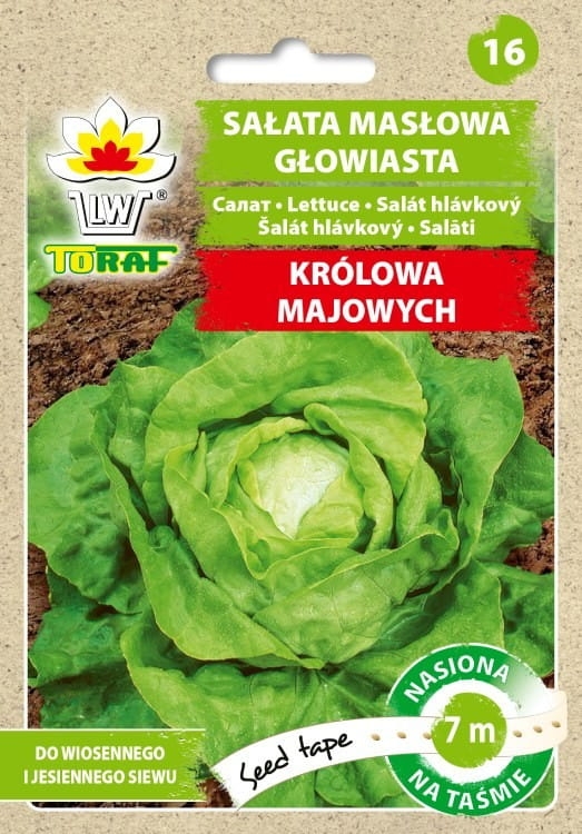 Sałata Kr&oacute;lowa Majowych nasiona na taśmie 6m - TORAF