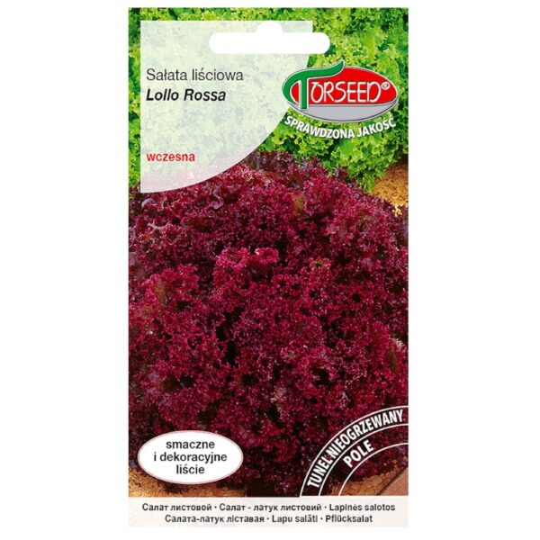 Sałata Lollo Rossa nasiona 0