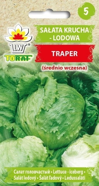 Sałata Traper Krucha Lodowa 1g - TORAF