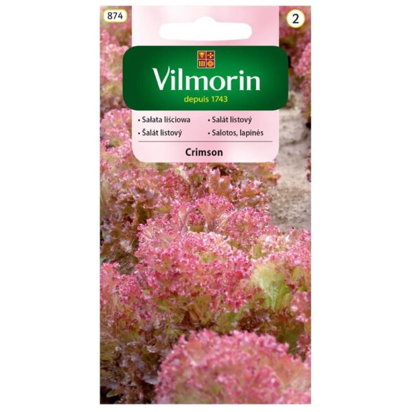 Sałata liściowa Crimson nasiona 1g - VILMORIN