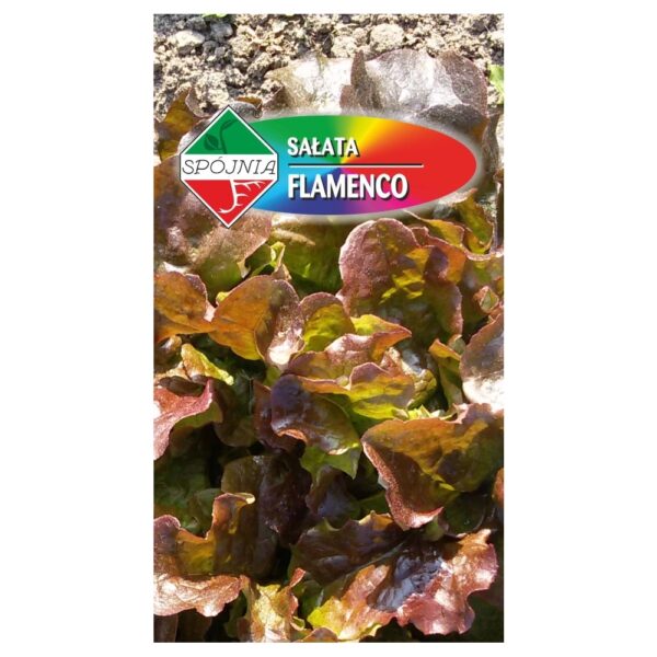 Sałata liściowa Flamenco nasiona 0