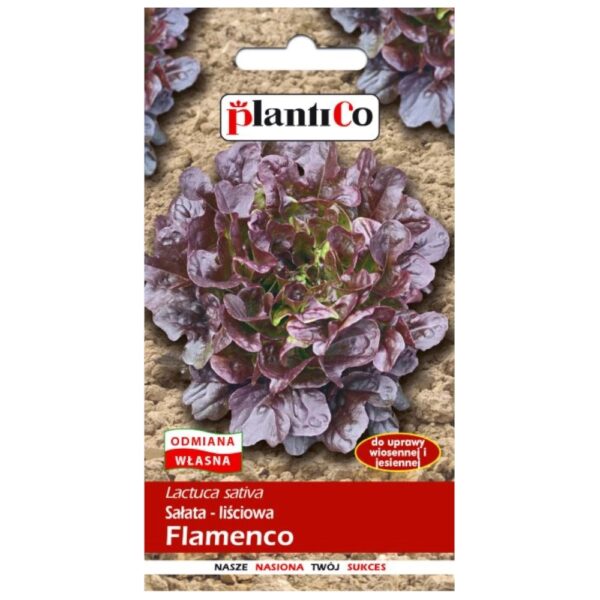 Sałata liściowa typ dębolistna Flamenco nasiona 0