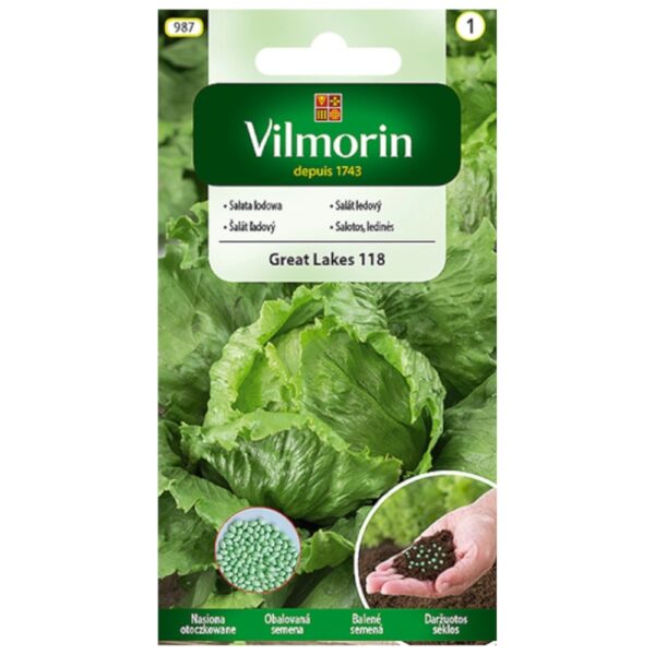 Sałata lodowa Great Lakes 118 nasiona otoczkowane 150 szt. - VILMORIN