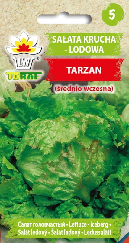Sałata lodowa Tarzan nasiona 1g - TORAF