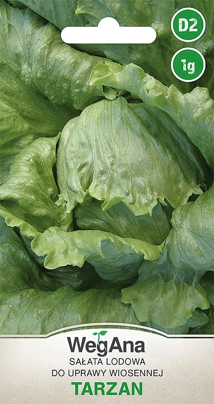 Salata lodowa do wiosennej uprawy Tarzan 1g - WegAna