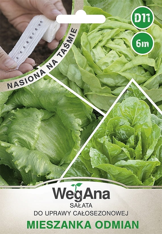 Sałata mieszanka odmian zielonych nasiona na taśmie 6 m - WegAna