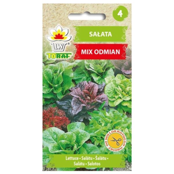 Sałata mix odmian nasiona 1g - TORAF