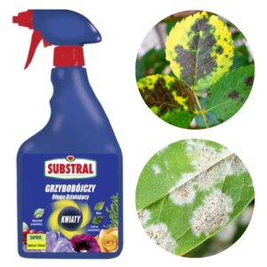 Saprol Hobby Długo Działający Środek Grzybobójczy Spray 750ml - Substral