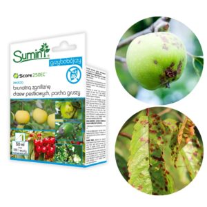 Score 250 EC zwalcza brunatną zgniliznę drzew pestkowych