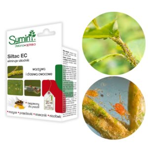 Siltac EC zwalcza przędziorki