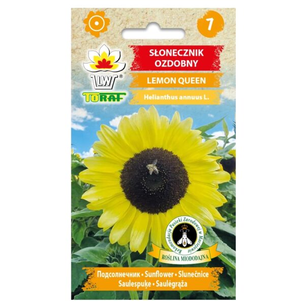 Słonecznik ozdobny Lemon Queen nasiona 2g - TORAF