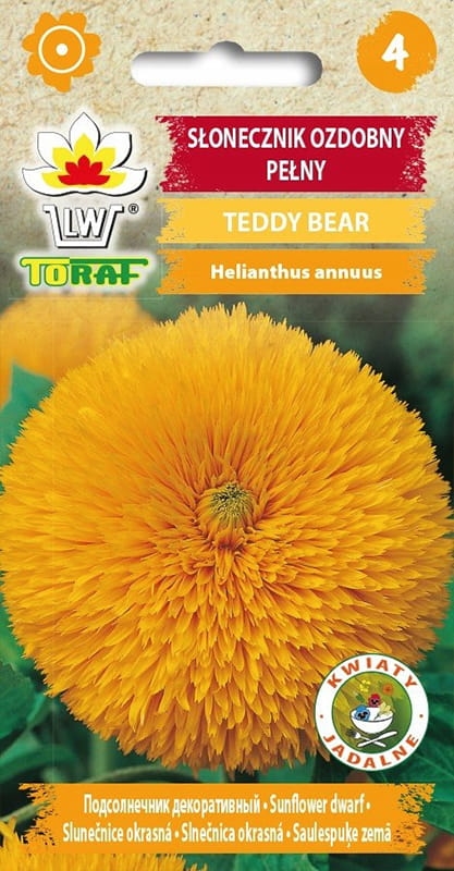 Słonecznik ozdobny karłowy pełny Teddy Bear 2g - TORAF