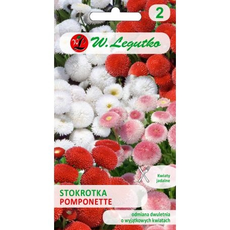 Stokrotka pospolita Pomponette mieszanka nasiona 0