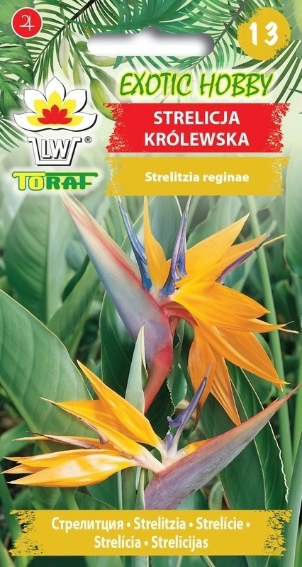 Strelicja kr&oacute;lewska nasiona 5 szt. - TORAF