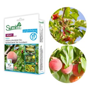 Syllit 65 WP zwalcza drobną plamistość liści