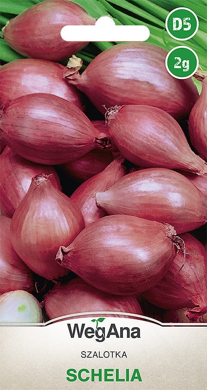 Szalotka Schelia nasiona 2g - WegAna