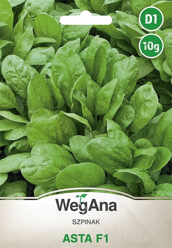 Szpinak Asta F1 10g nasiona - WegAna