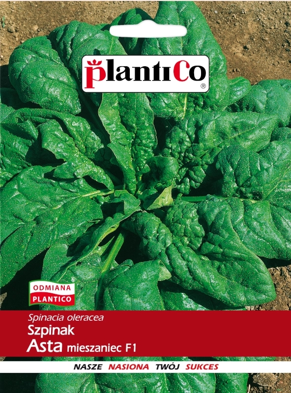 Szpinak Asta mieszaniec F1 nasiona 10g - Plantico