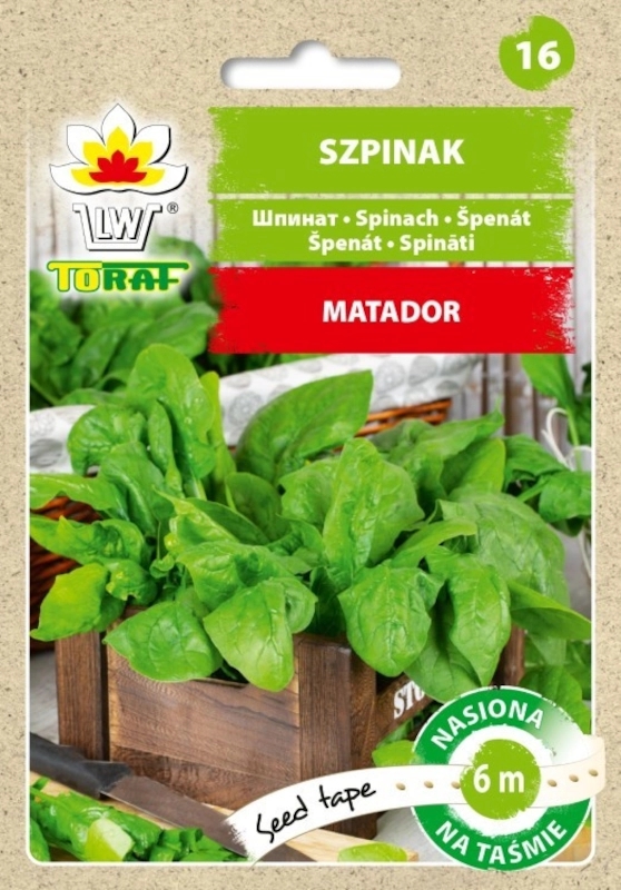 Szpinak Matador nasiona na taśmie 6m - TORAF