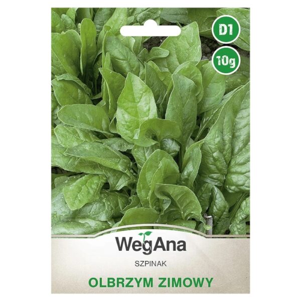 Szpinak Olbrzym Zimowy nasiona 10g - WegAna