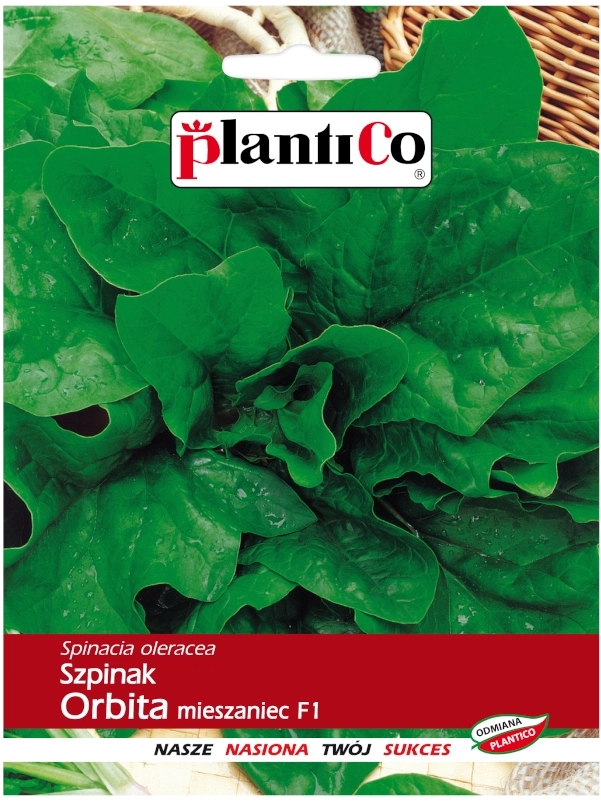 Szpinak Orbita mieszaniec F1 nasiona 10g - Plantico