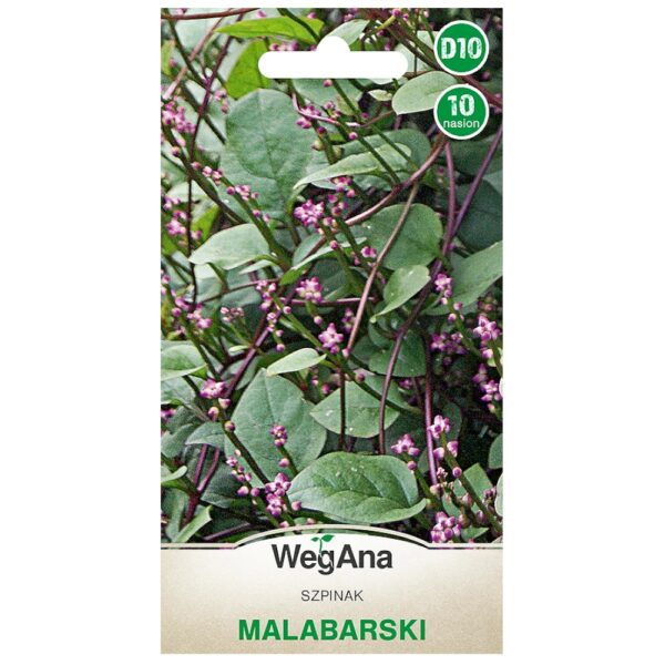 Szpinak malabarski nasiona 10 szt. - WegAna