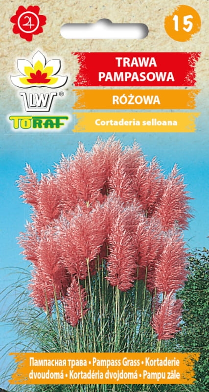 Trawa Pampasowa r&oacute;żowa 0