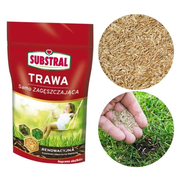 Trawa Samozagęszczająca Renowacyjna 250g - Substral