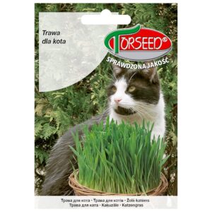 Trawa dla kota nasiona do uprawy w domu 30g - TORSEED
