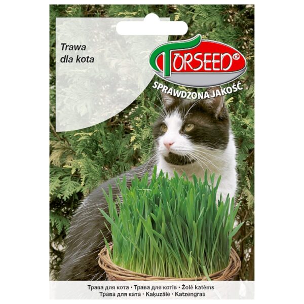 Trawa dla kota nasiona do uprawy w domu 30g - TORSEED