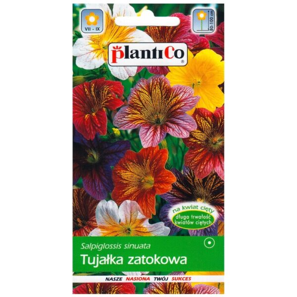 Tujałka zmienna nasiona 0