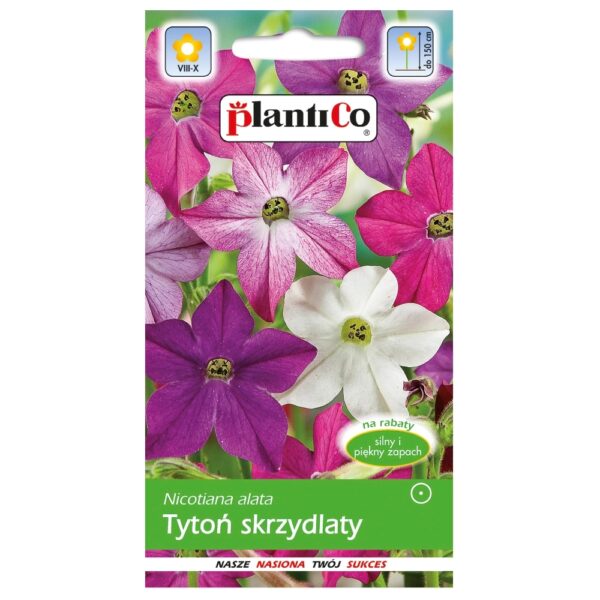 Tytoń skrzydlaty nasiona 0