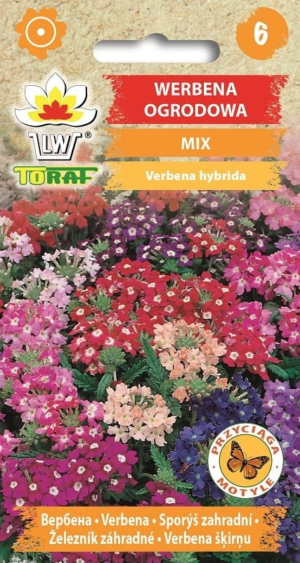 Werbena ogrodowa mix nasiona 0