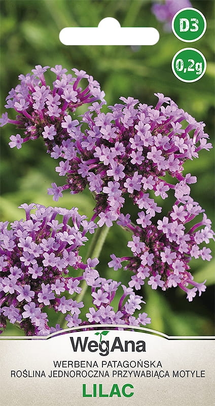 Werbena patagońska Lilac nasiona kwiat&oacute;w 0