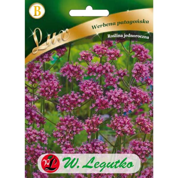 Werbena patagońska liliowa nasiona 0