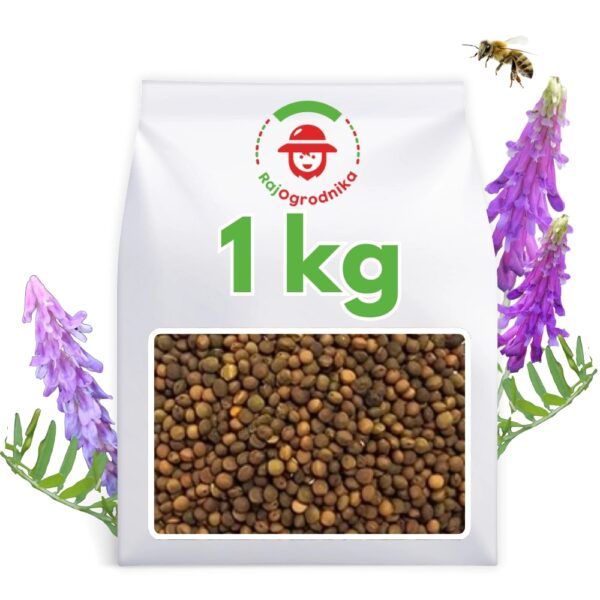 Wyka Kosmata Zimowa REA C/1 nasiona 1kg - FN Granum