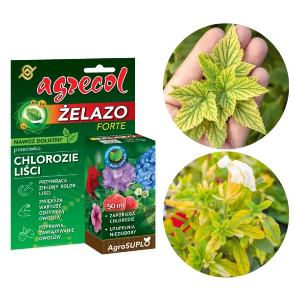 Żelazo Forte naw&oacute;z dolistny 50ml - Agrecol