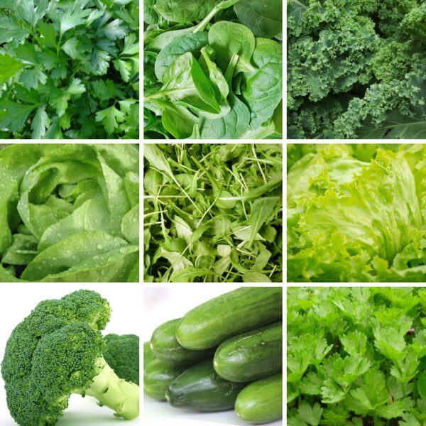 Zestaw Zdrowy Raj 9 odmian nasiona do uprawy